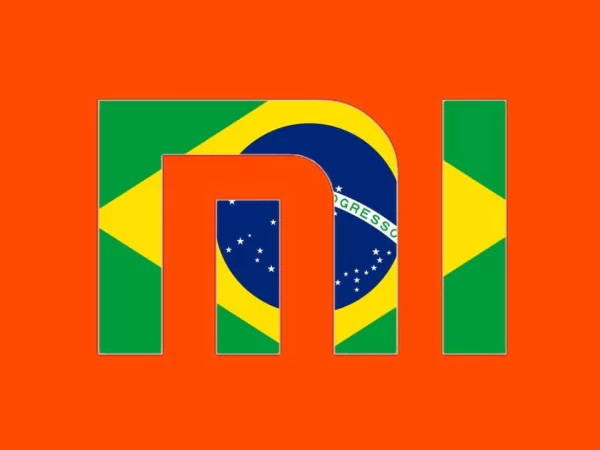 Julio Cesar Hintemann Filho