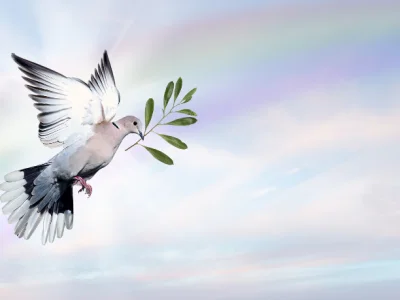 Amauri Jacintho Baragatti