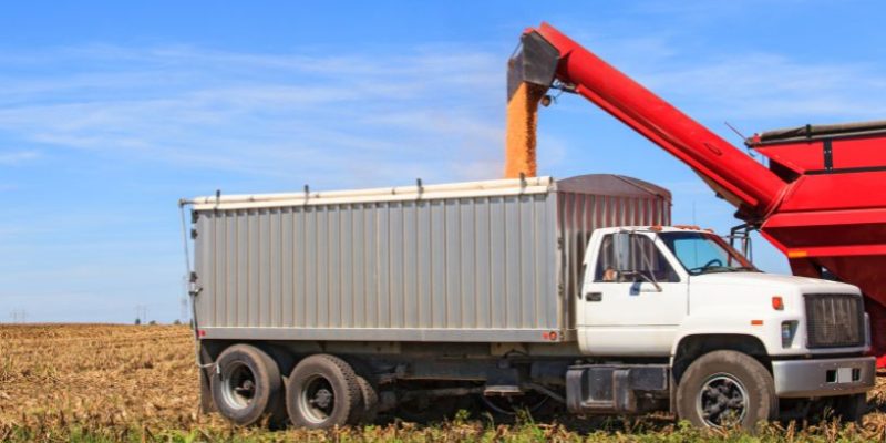 Agenor Vicente Pelissa