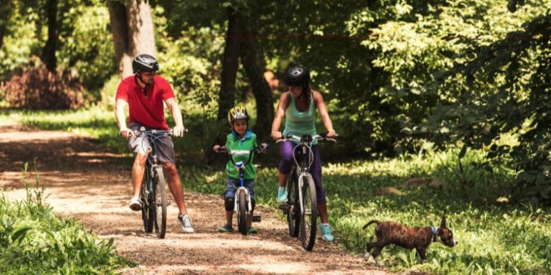 Sidnei Piva de Jesus