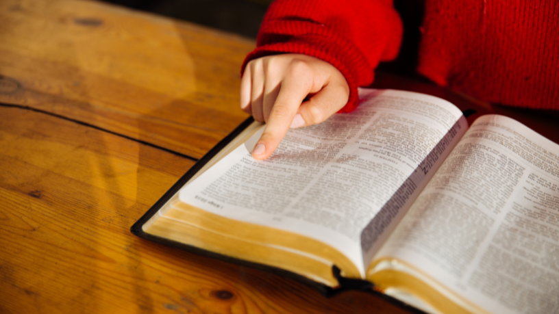 A harmonia entre graça e liberdade é possível, afirma Pe. Dr. Jose Eduardo de Oliveira e Silva, quando se busca a vontade de Deus com o coração aberto.