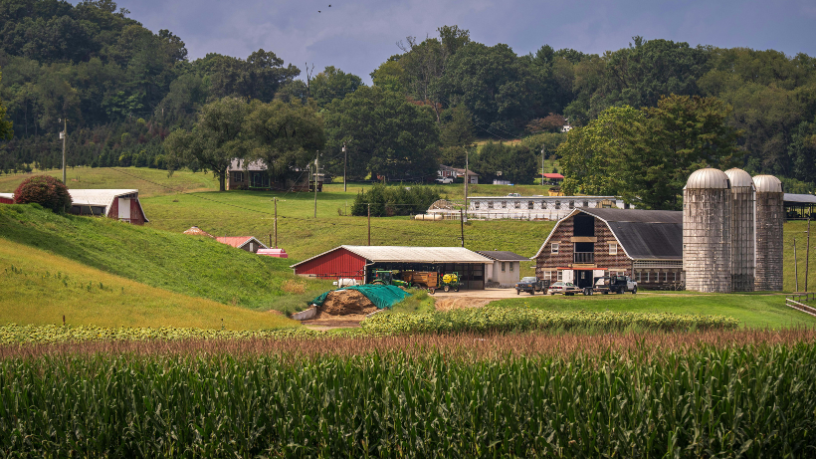 Dividir bem as áreas rurais garante mais produtividade e sustentabilidade, ressalta Aldo Vendramin.