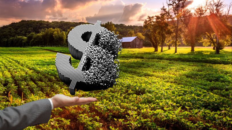 Investir em infraestrutura rural fortalece o campo e impulsiona o desenvolvimento regional, afirma Fabio Jose Gentil Pereira Rosa.