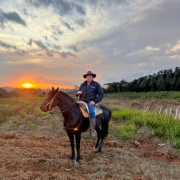 Altevir Seidel ensina estratégias práticas para eliminar dívidas e conquistar a tão sonhada liberdade financeira com planejamento e disciplina.