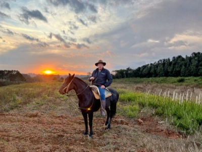 Altevir Seidel ensina estratégias práticas para eliminar dívidas e conquistar a tão sonhada liberdade financeira com planejamento e disciplina.