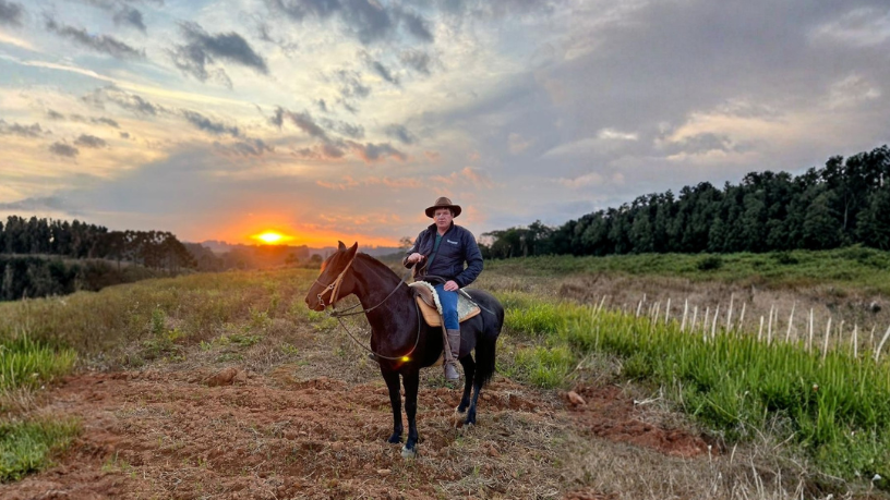 Altevir Seidel ensina estratégias práticas para eliminar dívidas e conquistar a tão sonhada liberdade financeira com planejamento e disciplina.