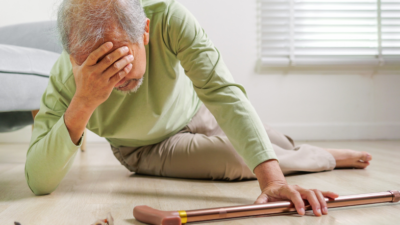 Sindnapi - Sindicato Nacional dos Aposentados, Pensionistas e Idosos