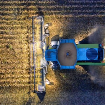 Parajara Moraes Alves Junior