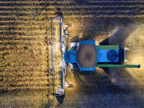 Parajara Moraes Alves Junior