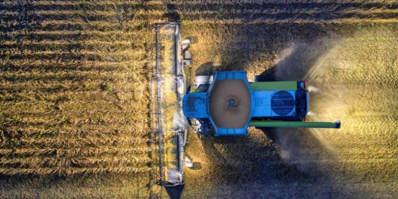 Parajara Moraes Alves Junior