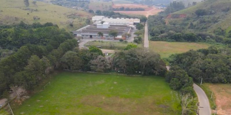 Família Shih