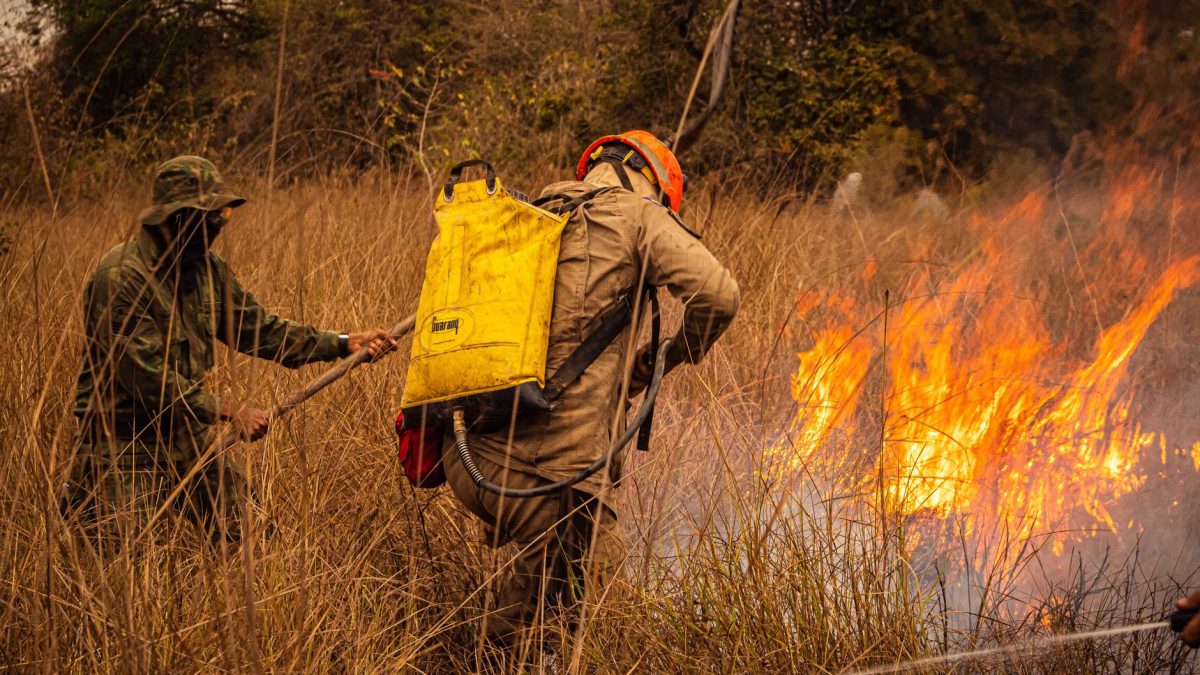 Bombeiros apagam um incêndio em área de vegetação seca durante uma operação de combate ao fogo.