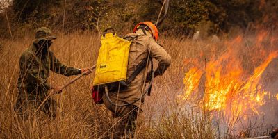 Bombeiros apagam um incêndio em área de vegetação seca durante uma operação de combate ao fogo.