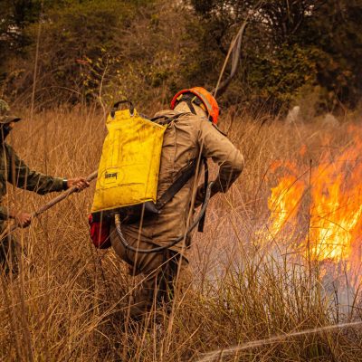 Bombeiros apagam um incêndio em área de vegetação seca durante uma operação de combate ao fogo.