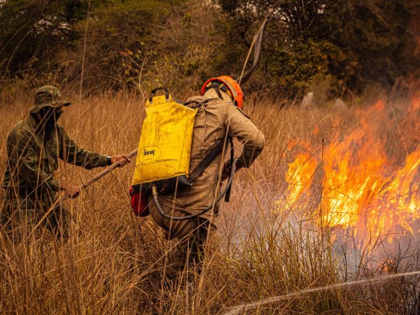 Bombeiros apagam um incêndio em área de vegetação seca durante uma operação de combate ao fogo.